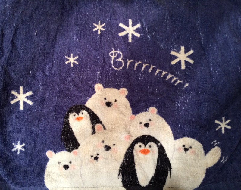 I choose this cute tea towel! Made me feel good  because my bassoon is traveling to COLD CANADA. Awhh- Bassoon Love.