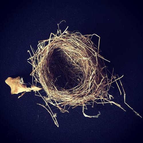 Nest