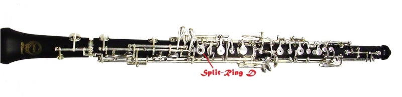 split-ring-d